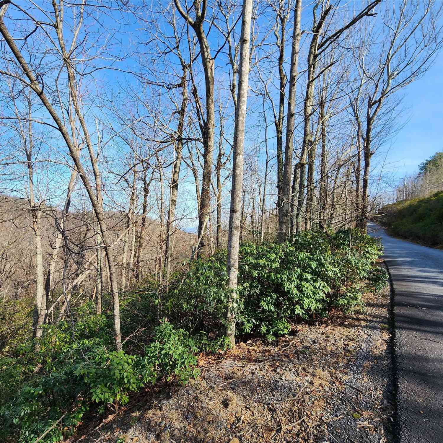 Lot 22 Sunset Ridge Drive #22, Columbus, North Carolina image 7