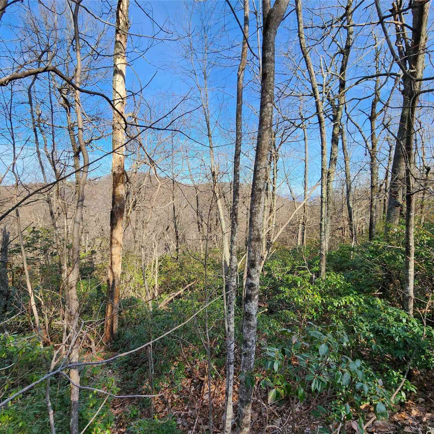 Lot 22 Sunset Ridge Drive #22, Columbus, North Carolina image 1