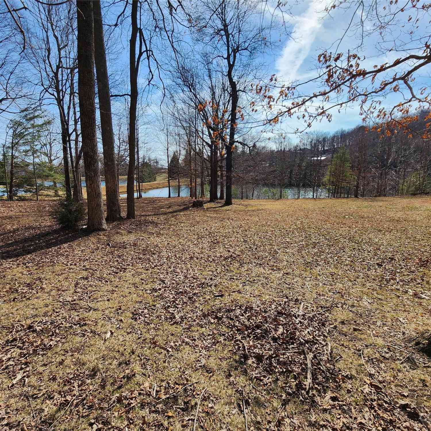 Lot 77 Three Bridges Drive, Columbus, North Carolina image 3