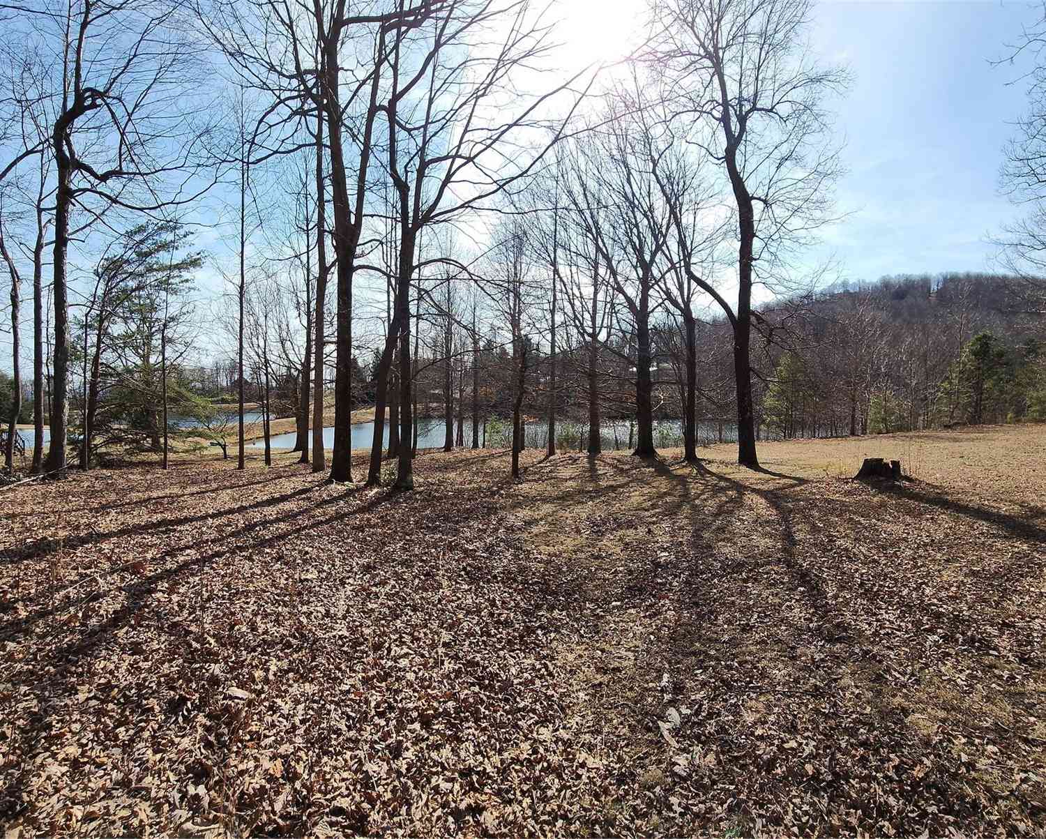 Lot 77 Three Bridges Drive, Columbus, North Carolina image 8