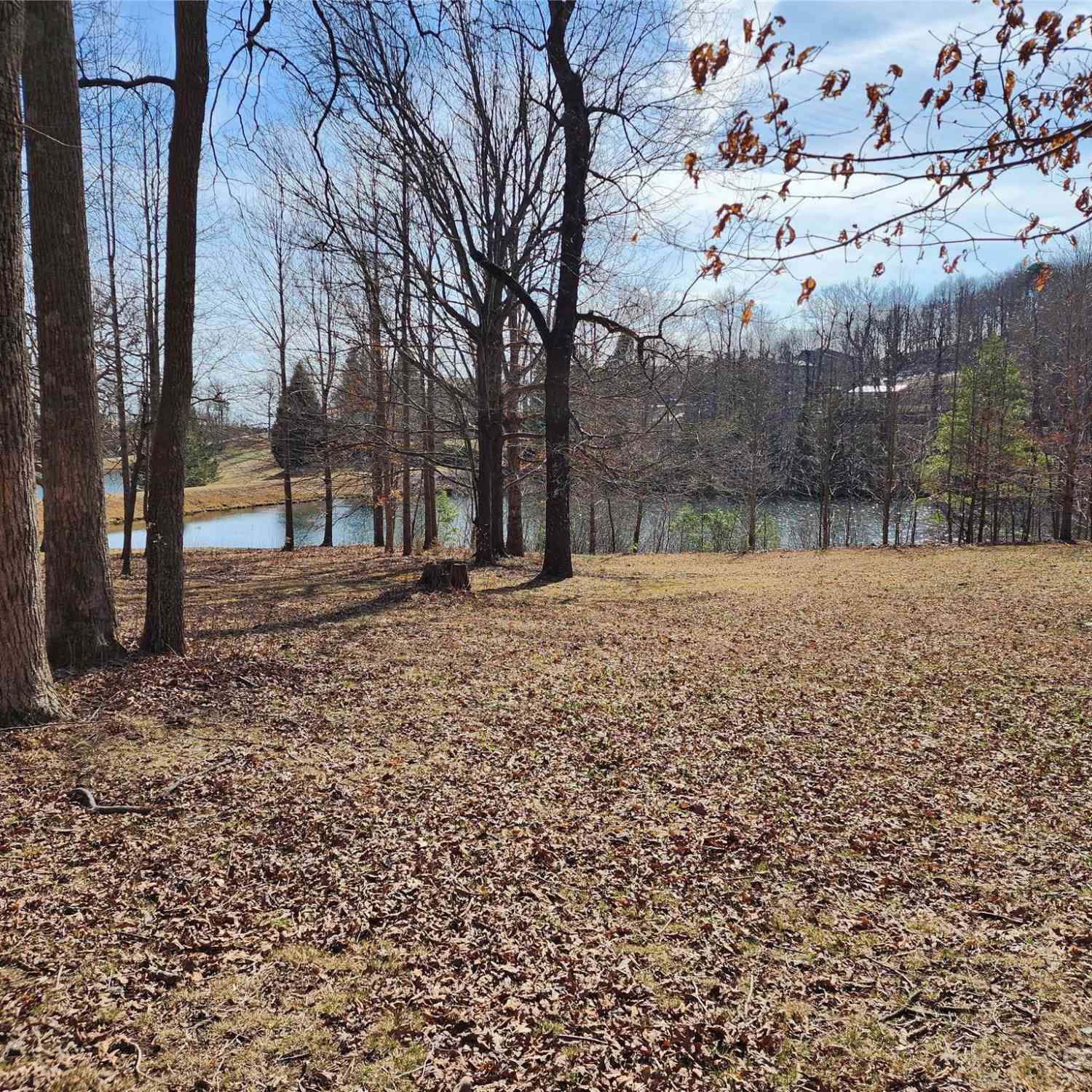 Lot 77 Three Bridges Drive, Columbus, North Carolina image 6