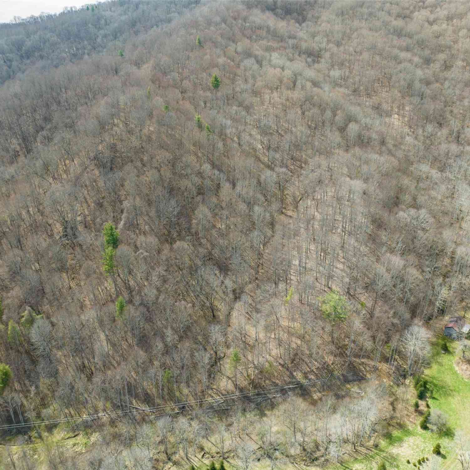 00 Wesley Creek Road, Clyde, North Carolina image 30