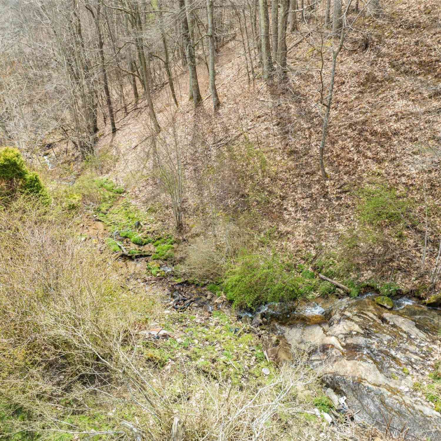 00 Wesley Creek Road, Clyde, North Carolina image 23