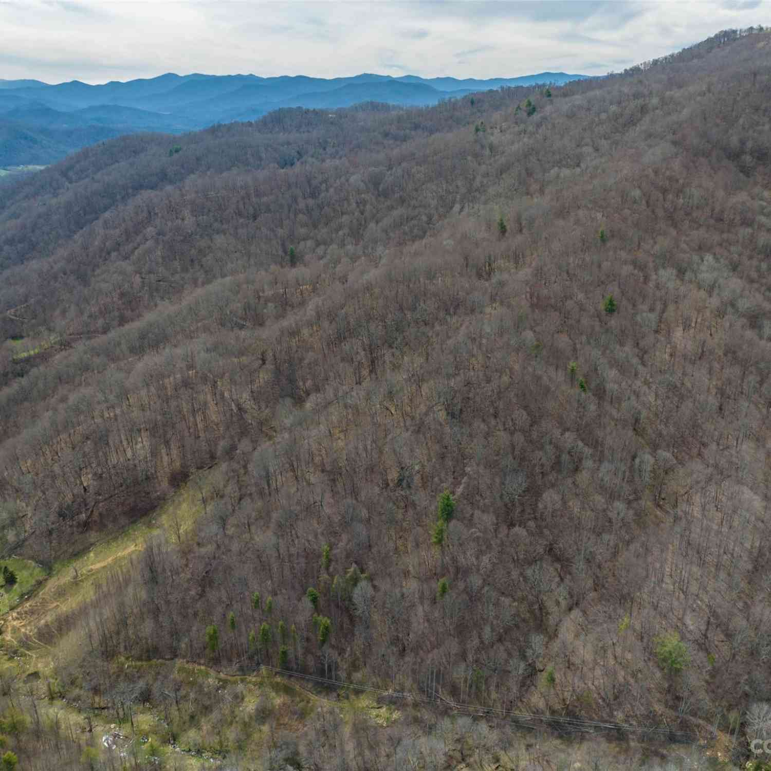 00 Wesley Creek Road, Clyde, North Carolina image 8