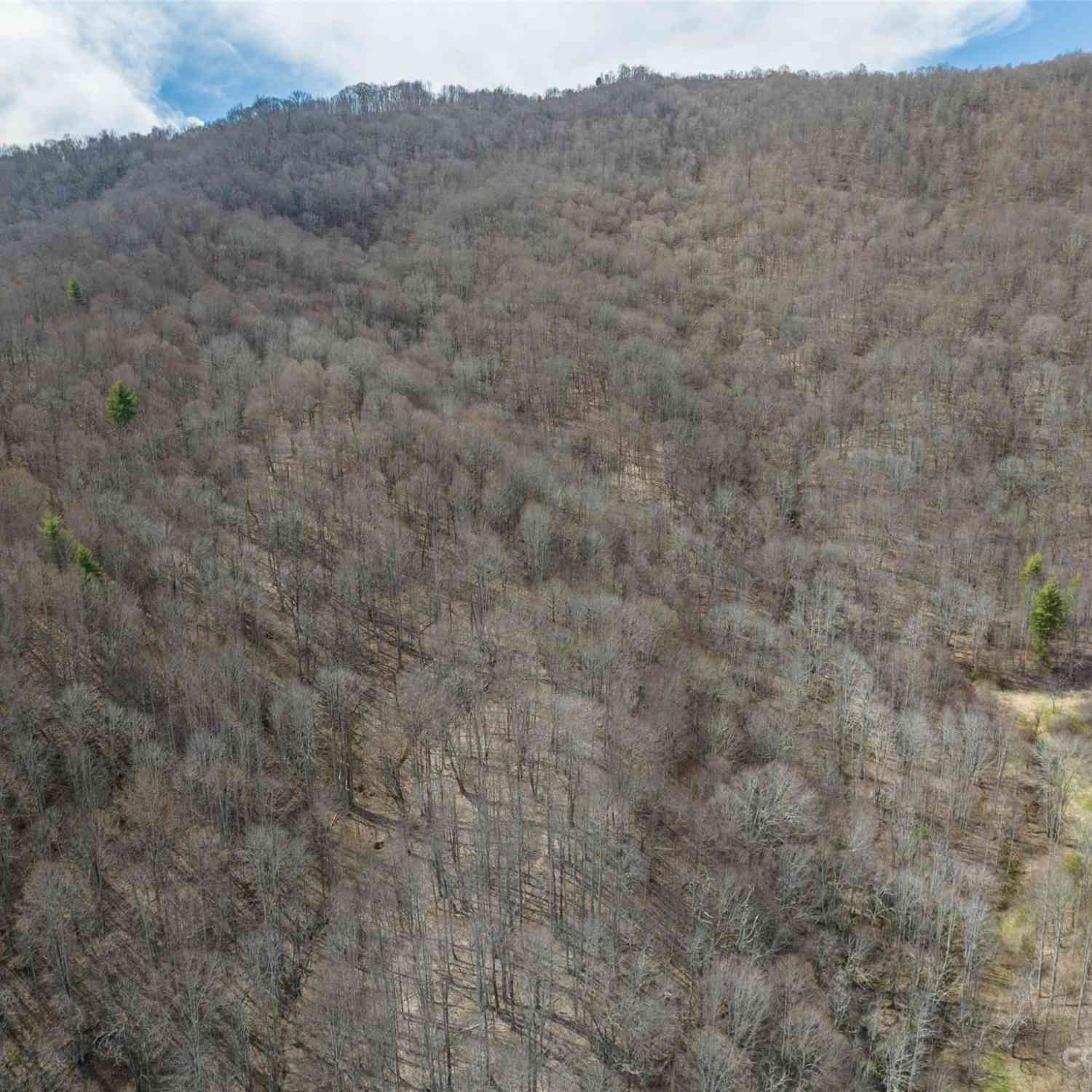 00 Wesley Creek Road, Clyde, North Carolina image 31
