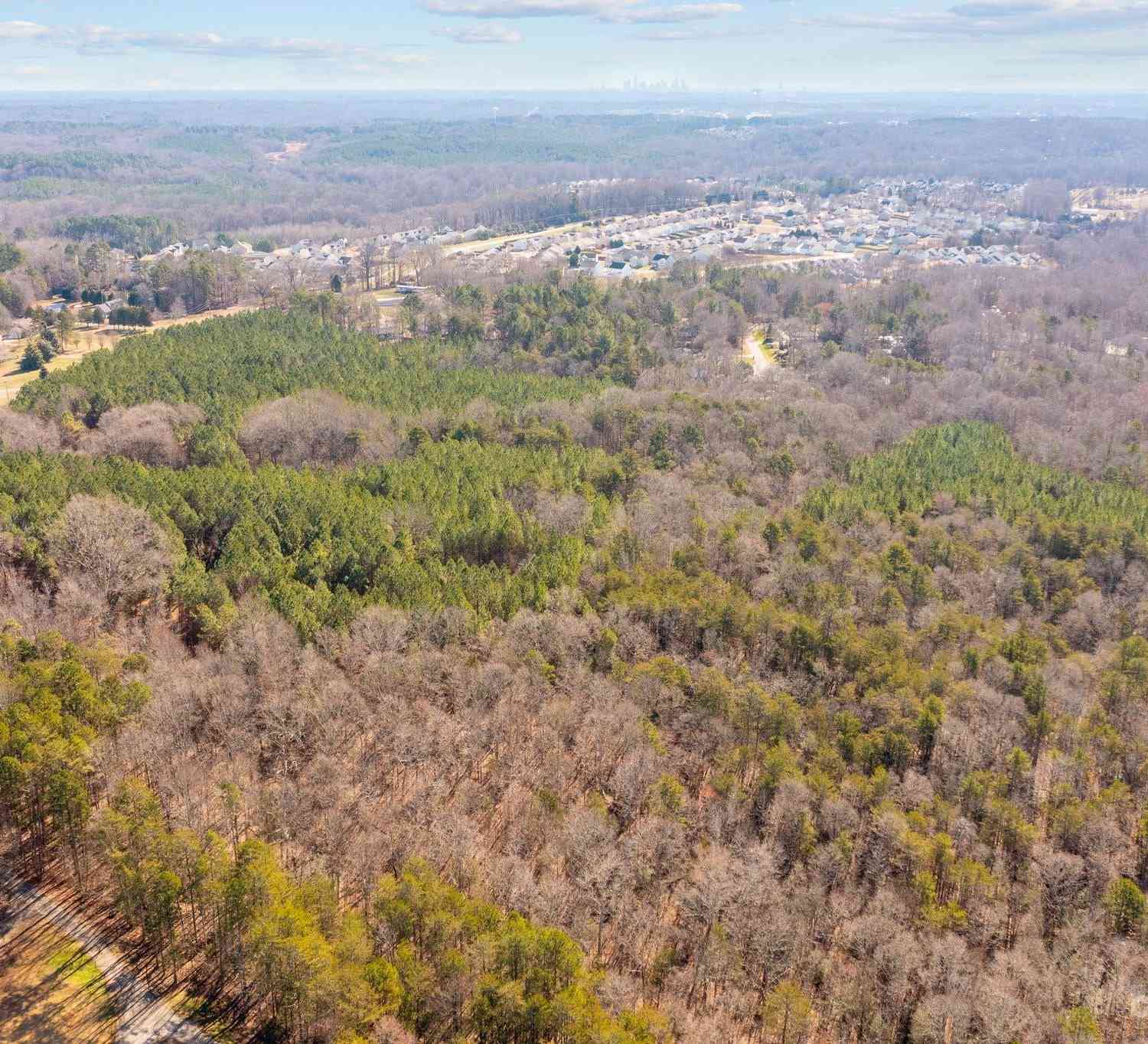 Lowland Dairy Road, Mount Holly, North Carolina image 8