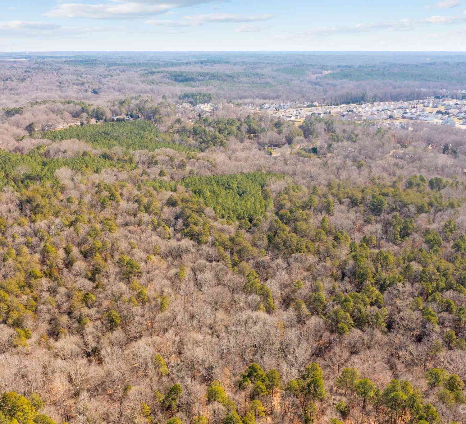 Lowland Dairy Road, Mount Holly, North Carolina image 9