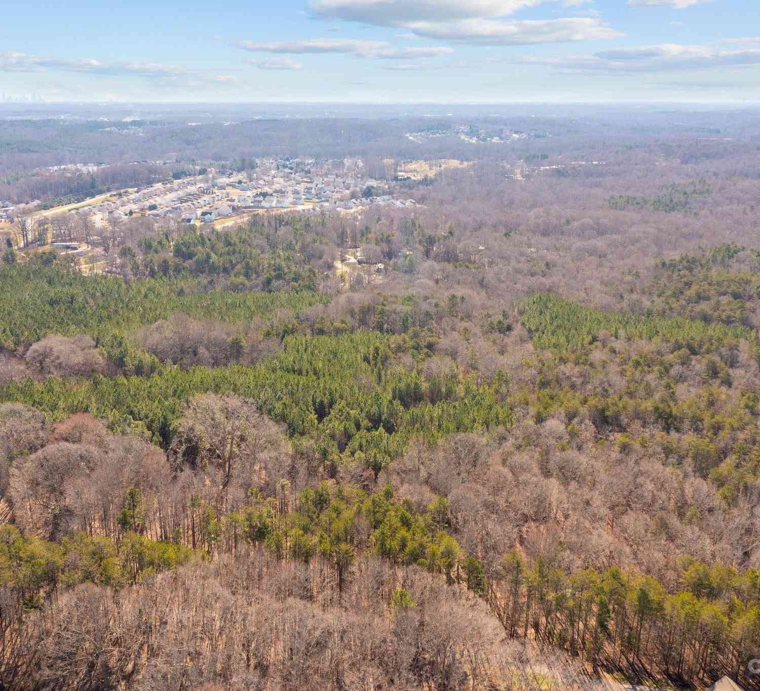 Lowland Dairy Road, Mount Holly, North Carolina image 7