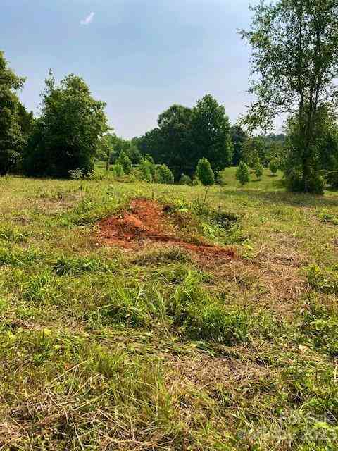 225 Ole Plantation Drive, Rutherfordton, North Carolina image 19