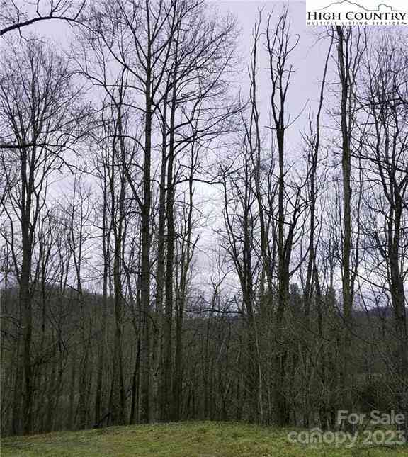 Lot 10 & Reserved Area Yasmine Lane, Valle Crucis, North Carolina image 2