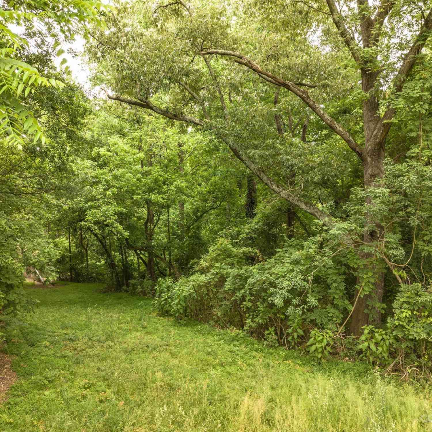 Kimbrell Lane, Forest City, North Carolina image 11