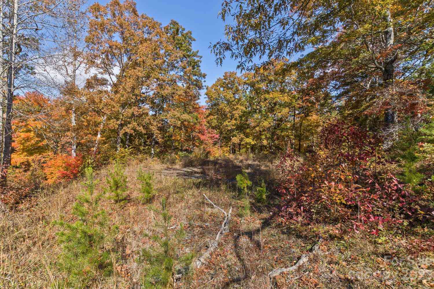 Butternut Lane, Rutherfordton, North Carolina image 8