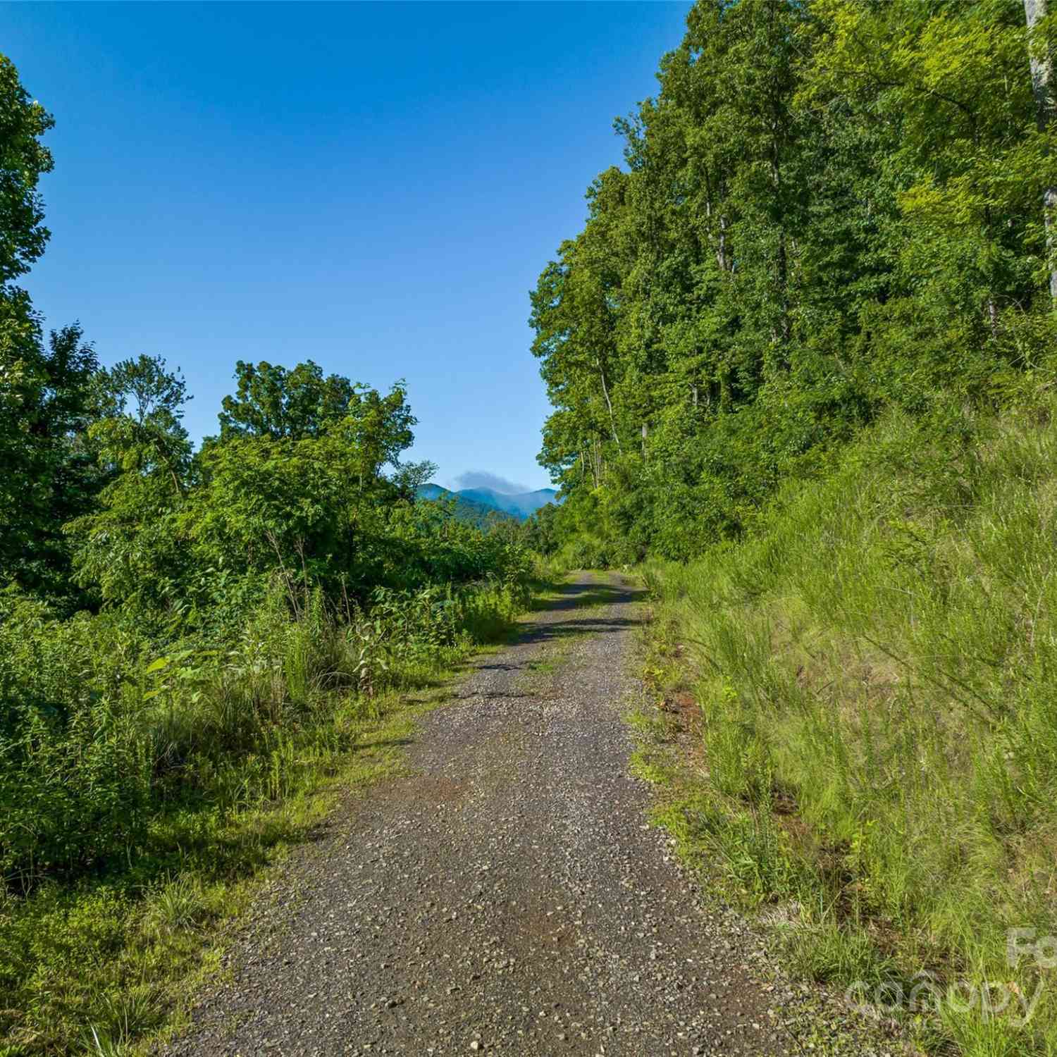 9999-28 Lovebird Lane #28, Canton, North Carolina image 18