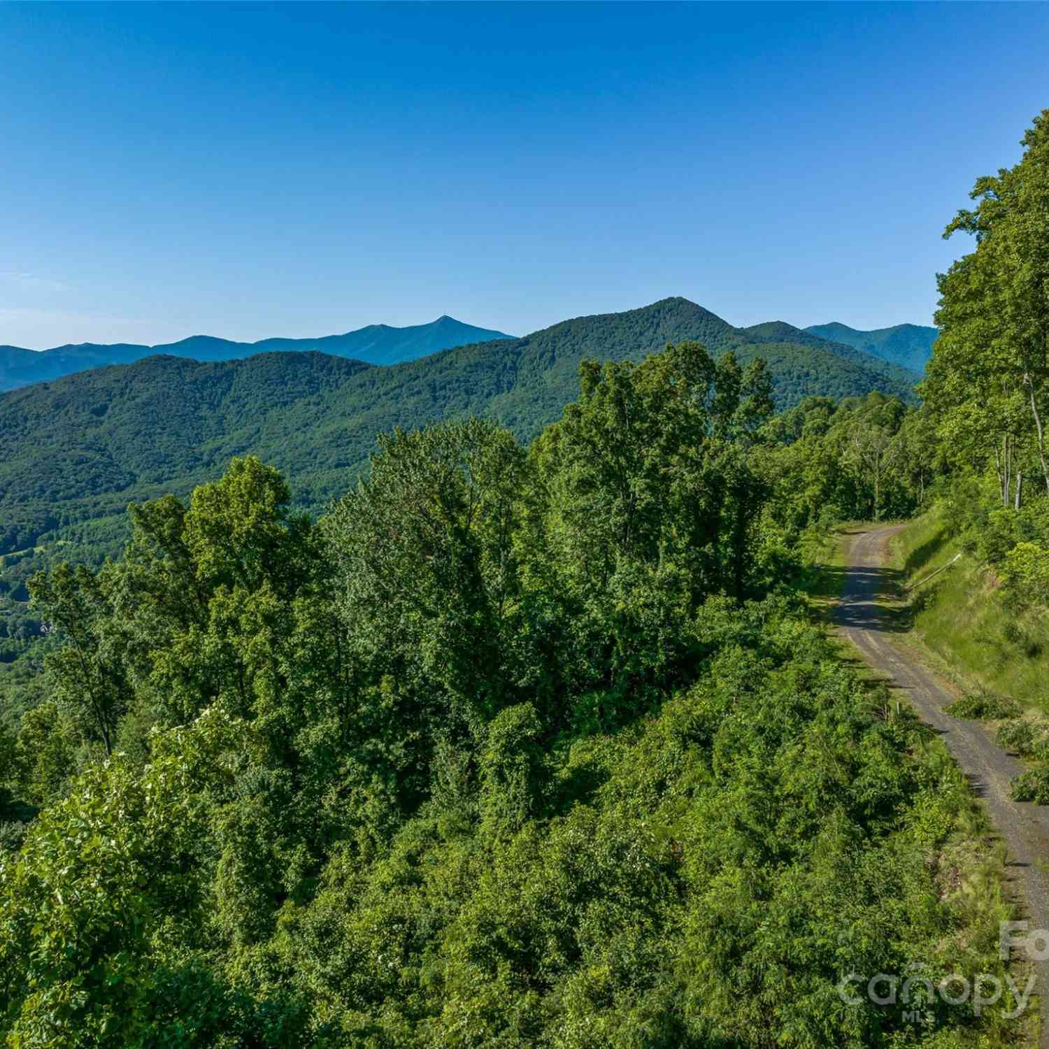 9999-28 Lovebird Lane #28, Canton, North Carolina image 1