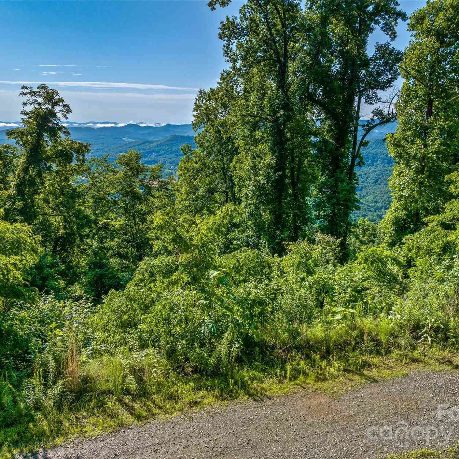 9999-28 Lovebird Lane #28, Canton, North Carolina image 10