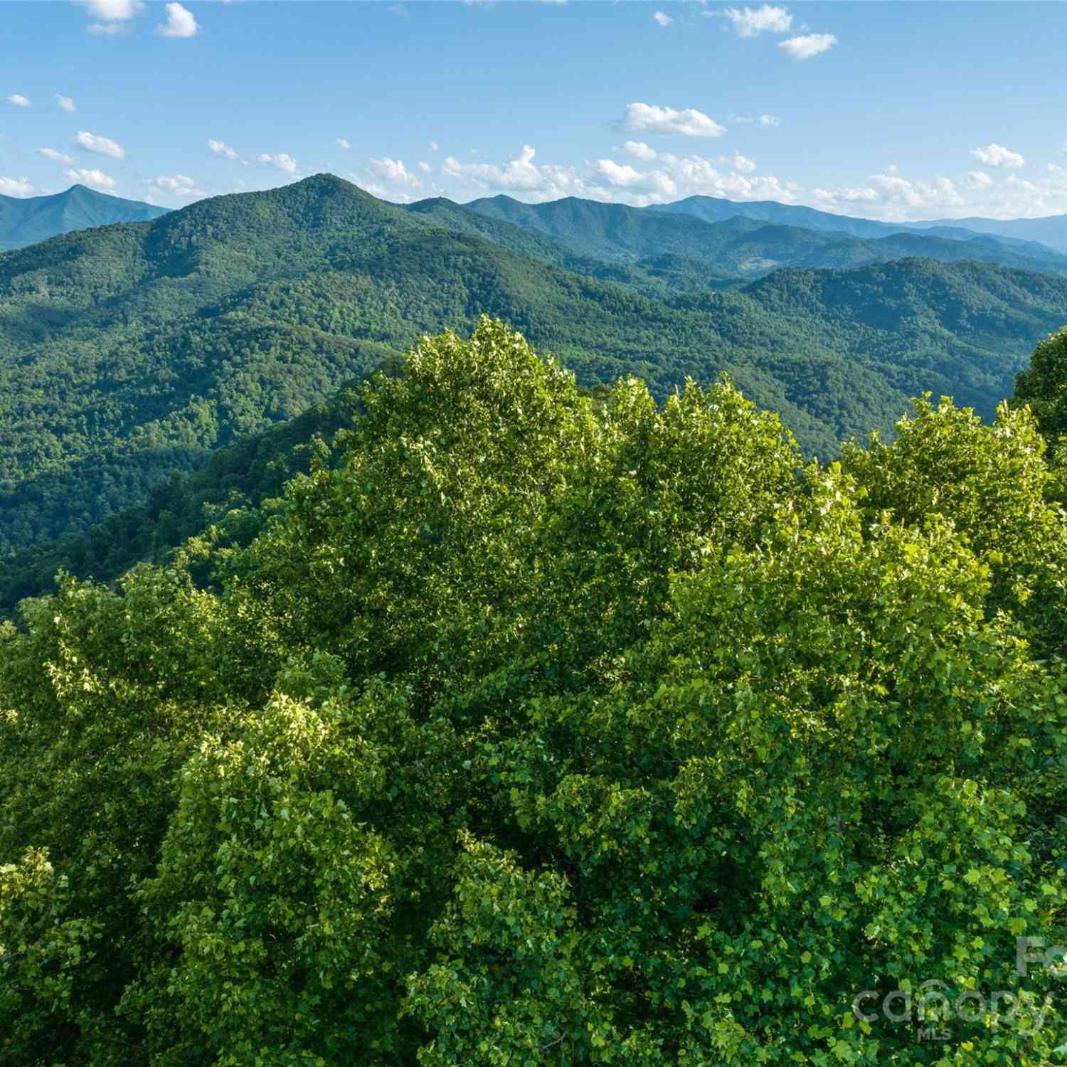 9999-28 Lovebird Lane #28, Canton, North Carolina image 4