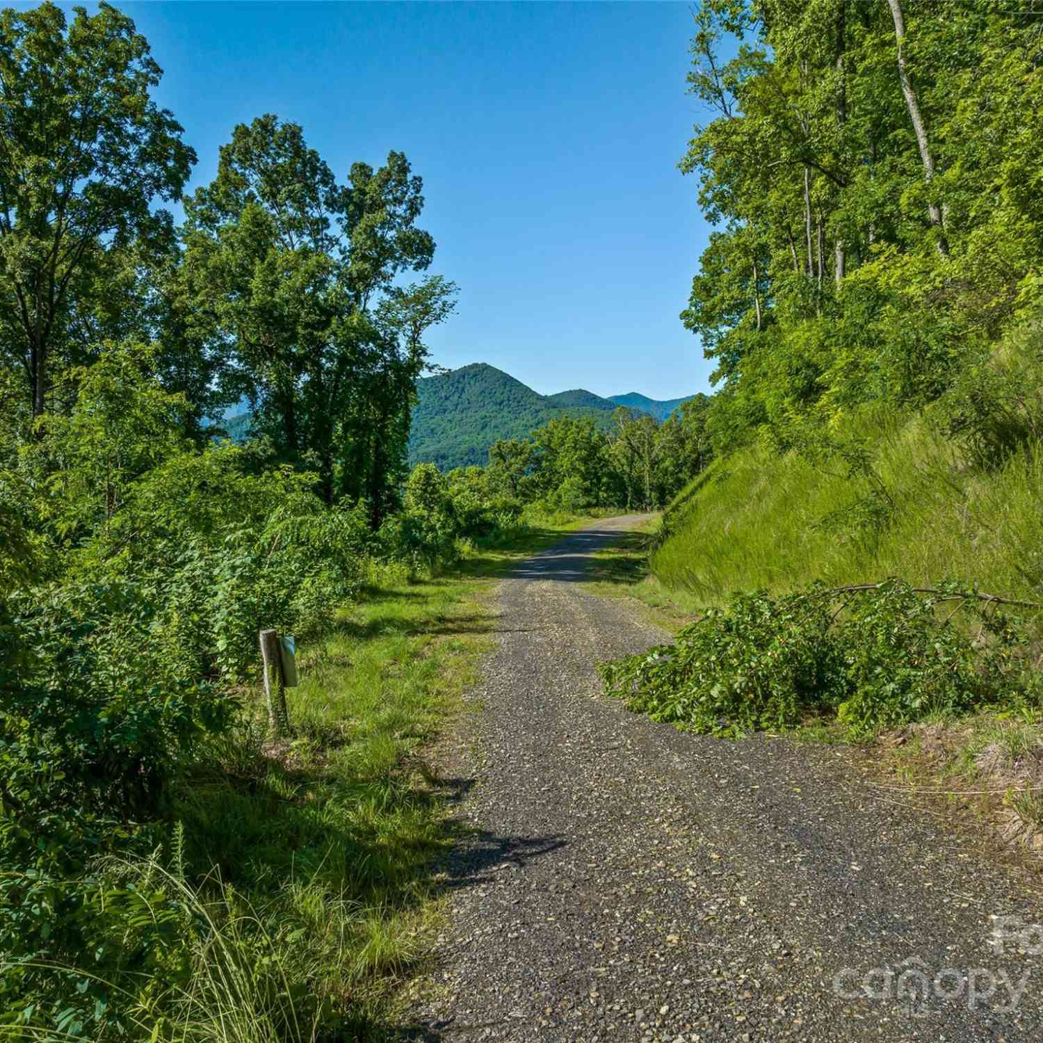 9999-28 Lovebird Lane #28, Canton, North Carolina image 15