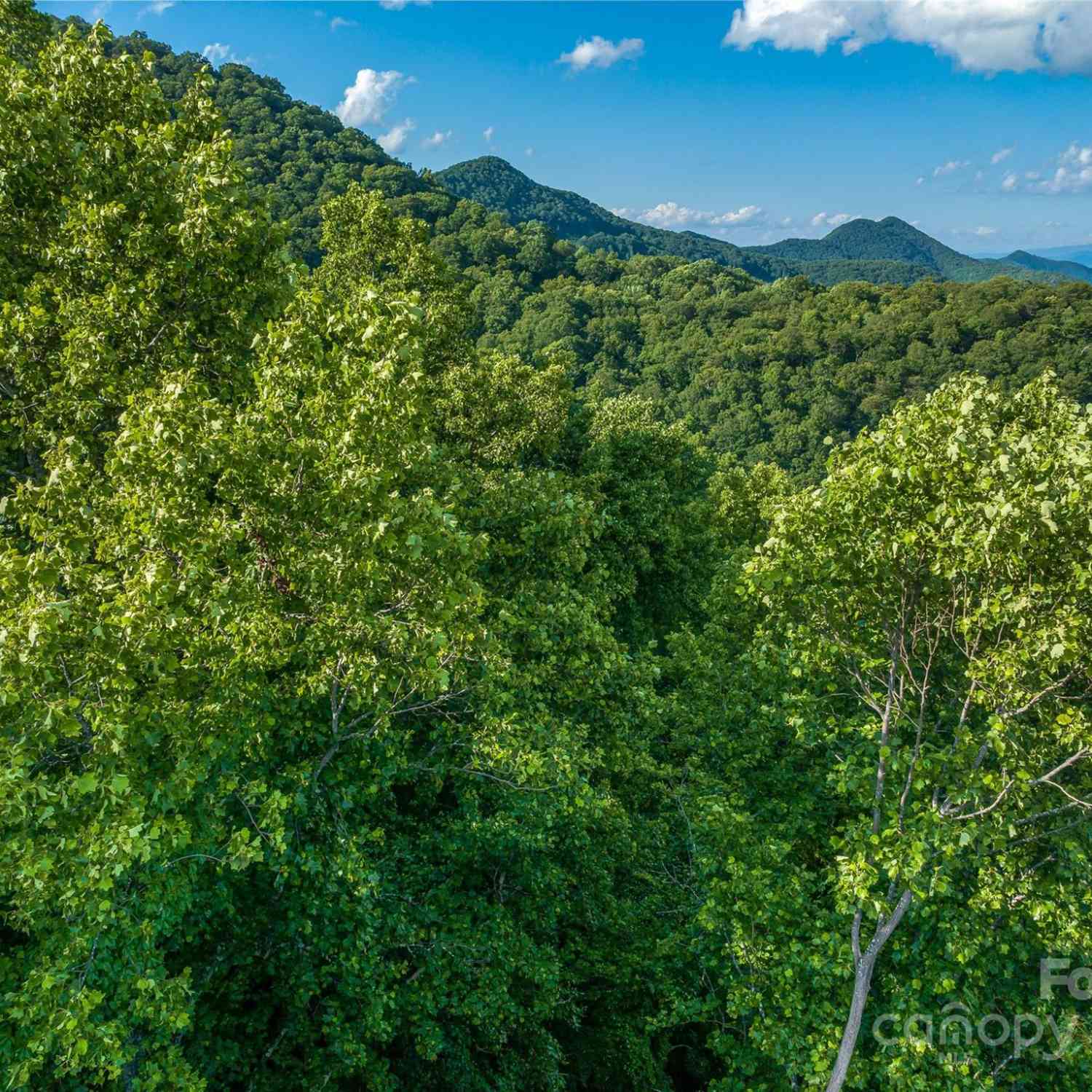 9999-29 Lovebird Lane #29, Canton, North Carolina image 8