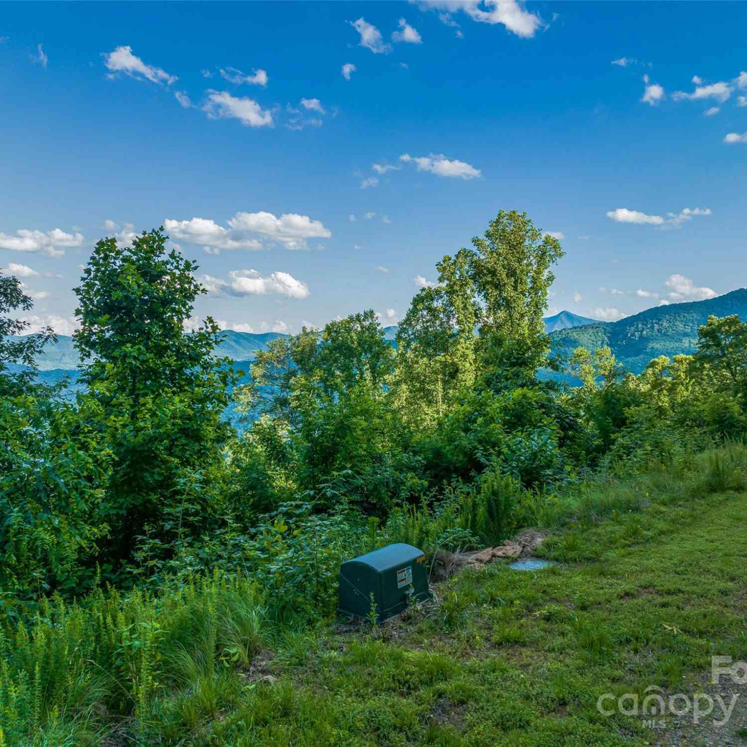 9999-29 Lovebird Lane #29, Canton, North Carolina image 10