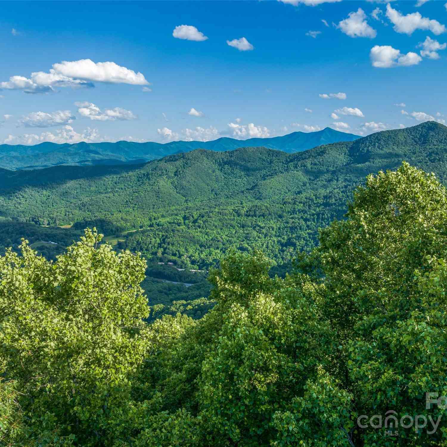 9999-29 Lovebird Lane #29, Canton, North Carolina image 4