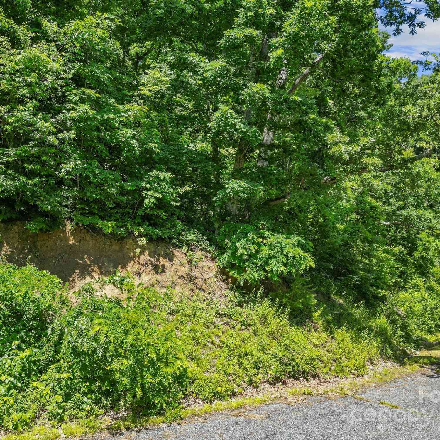 78 Spring Falls Drive, Weaverville, North Carolina image 6