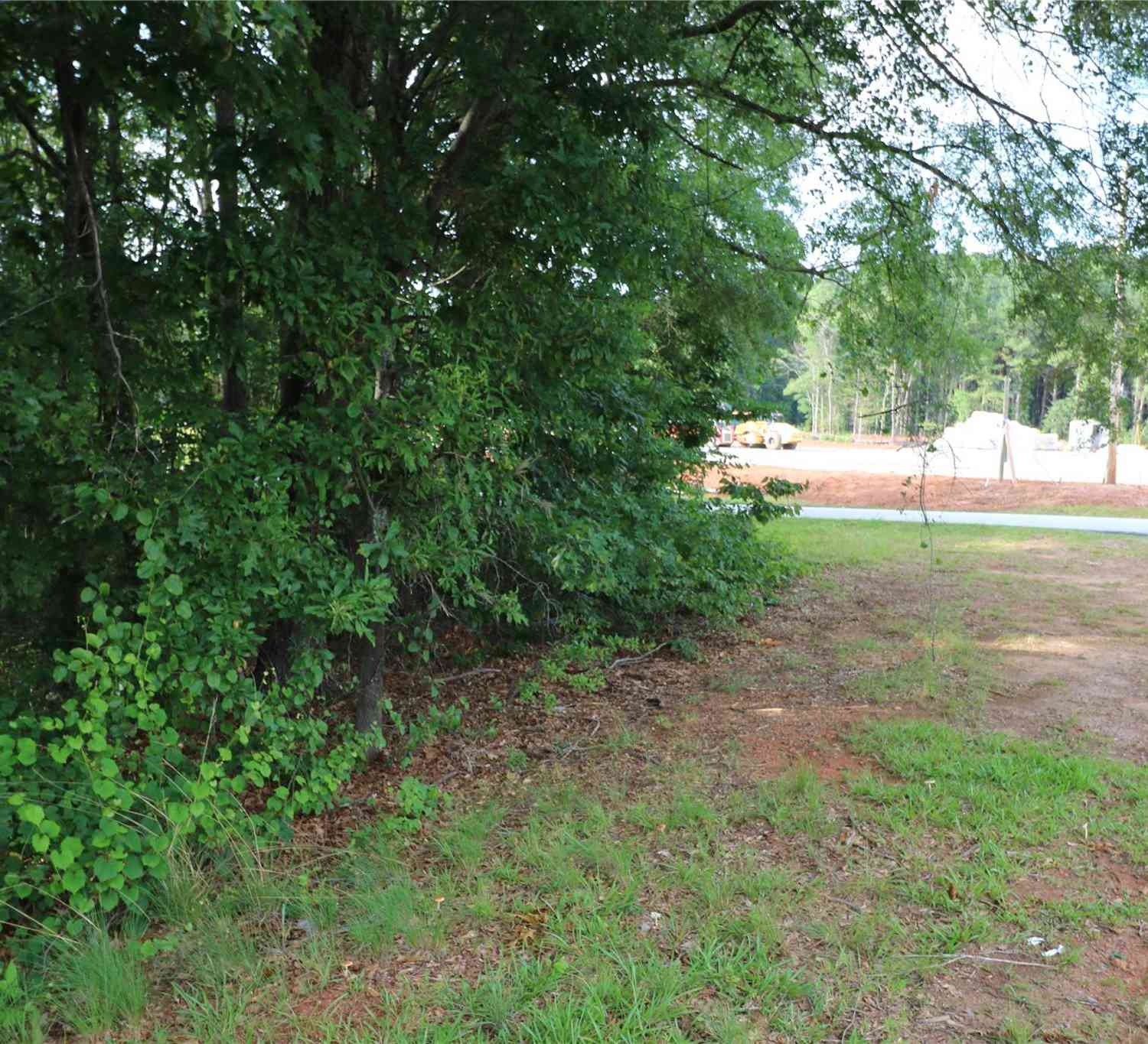 Lot 23 Commercial Drive, Forest City, North Carolina image 2