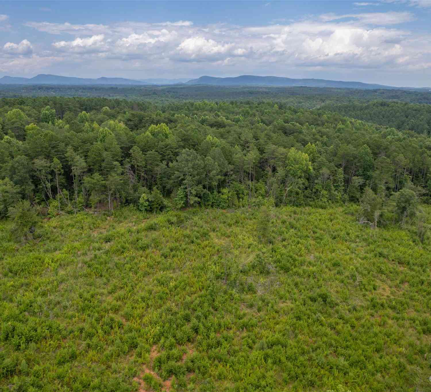 00 Horn Bottom Road, Forest City, North Carolina image 7