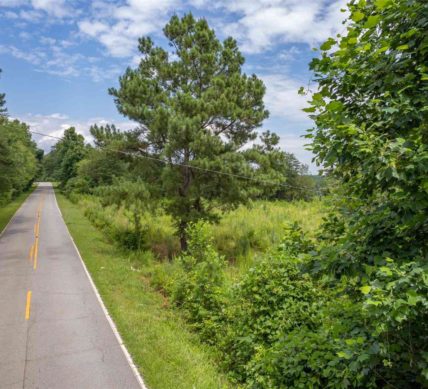 00 Horn Bottom Road, Forest City, North Carolina image 2