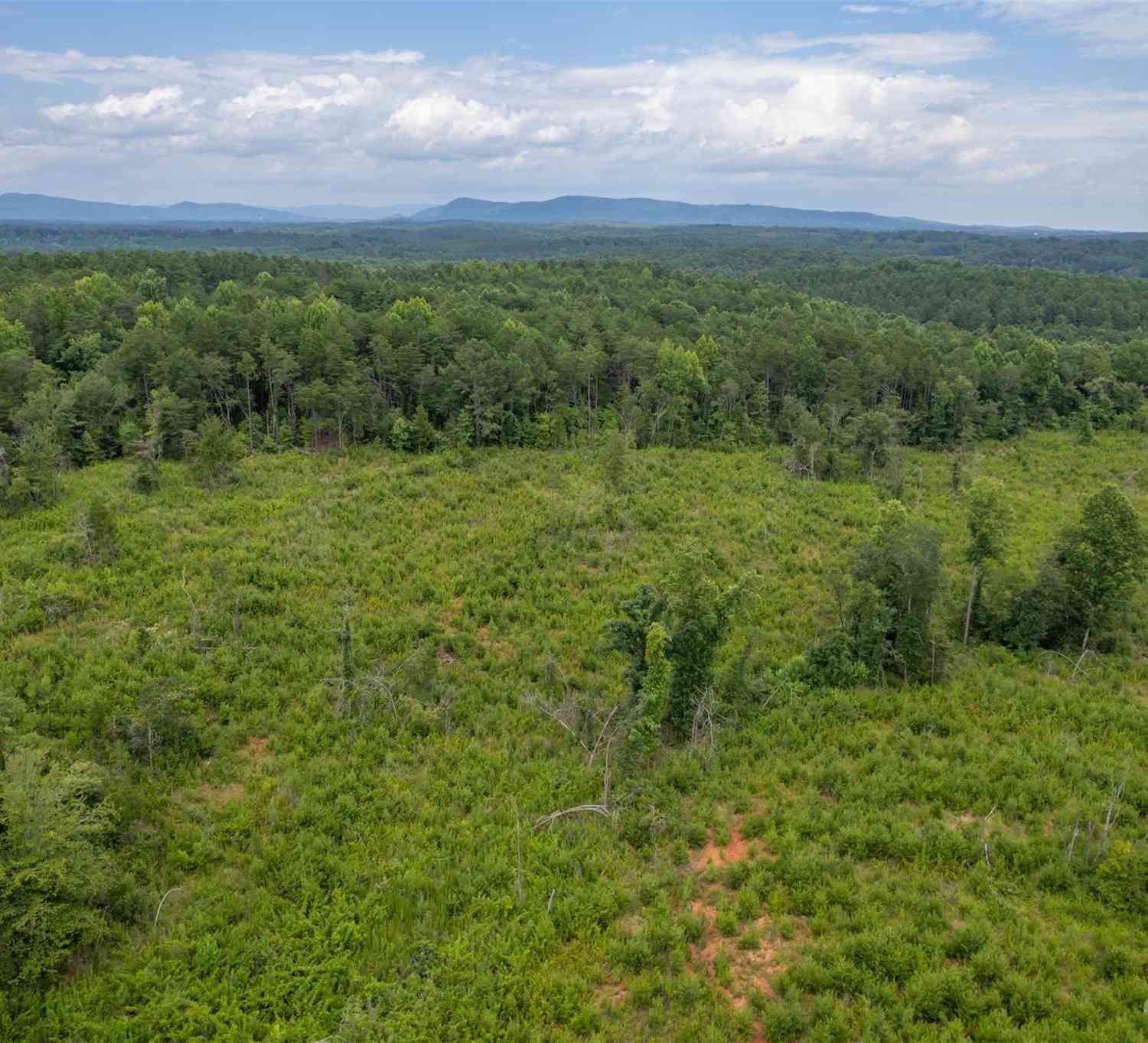 00 Horn Bottom Road, Forest City, North Carolina image 8