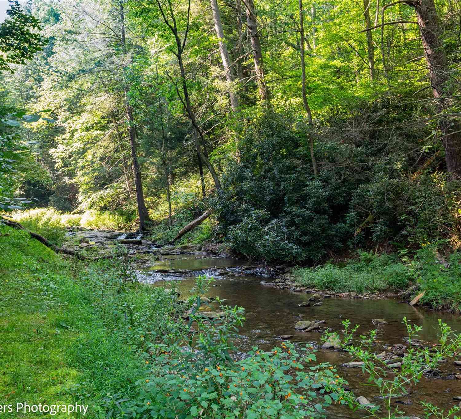 228 Chestnut Mountain Road, Canton, North Carolina image 4