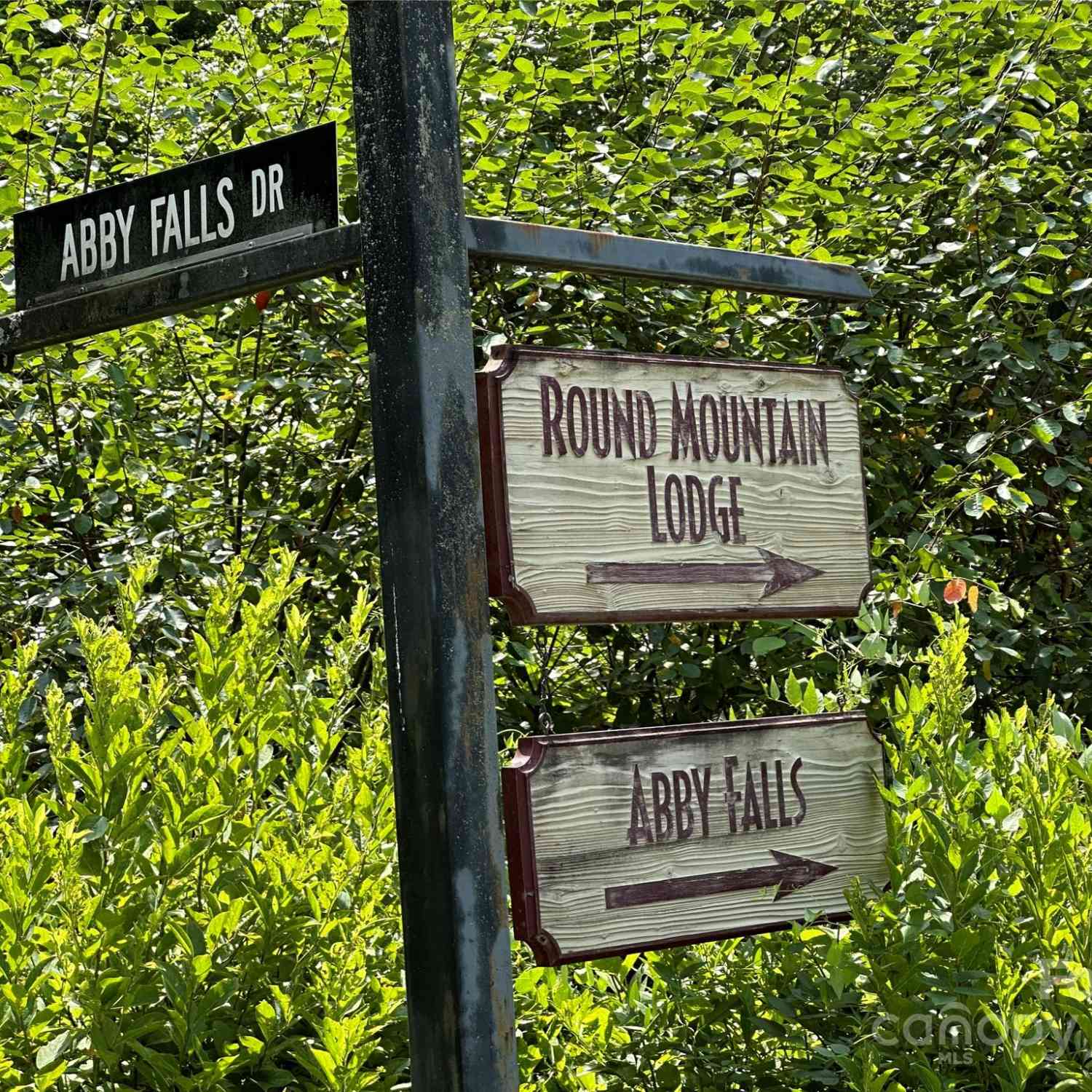 43 Abby Falls Drive #43, Rosman, North Carolina image 42