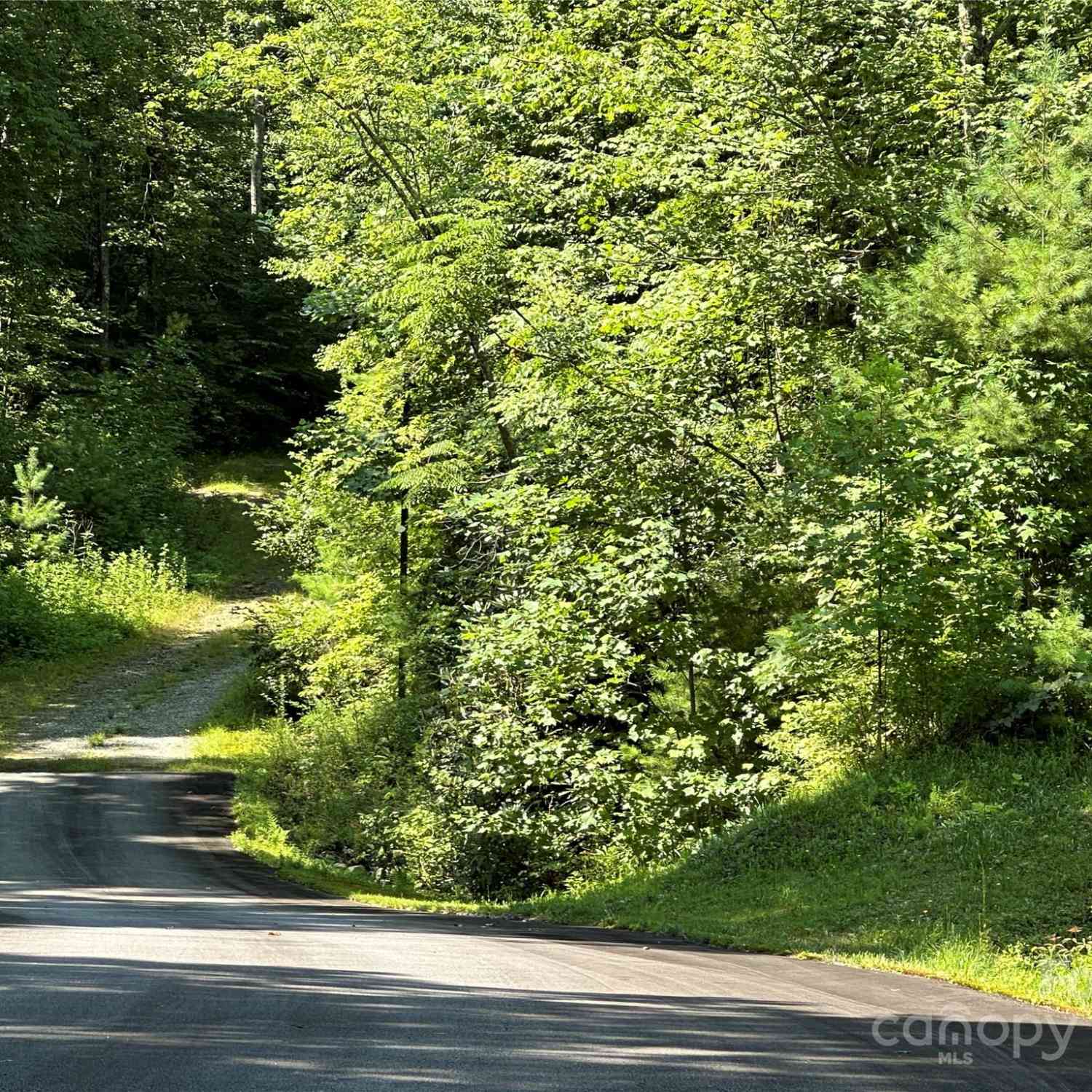 43 Abby Falls Drive #43, Rosman, North Carolina image 30