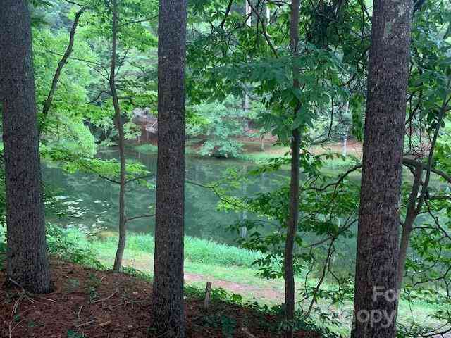 101 Lakemont Drive, Flat Rock, North Carolina image 25