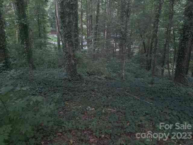 (0.86ac) Lakemont Drive, Flat Rock, North Carolina image 5