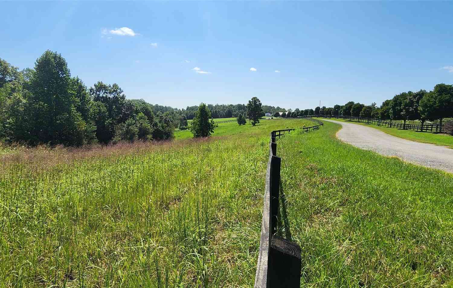 23.61 Acres Blackwood Road, Columbus, North Carolina image 24