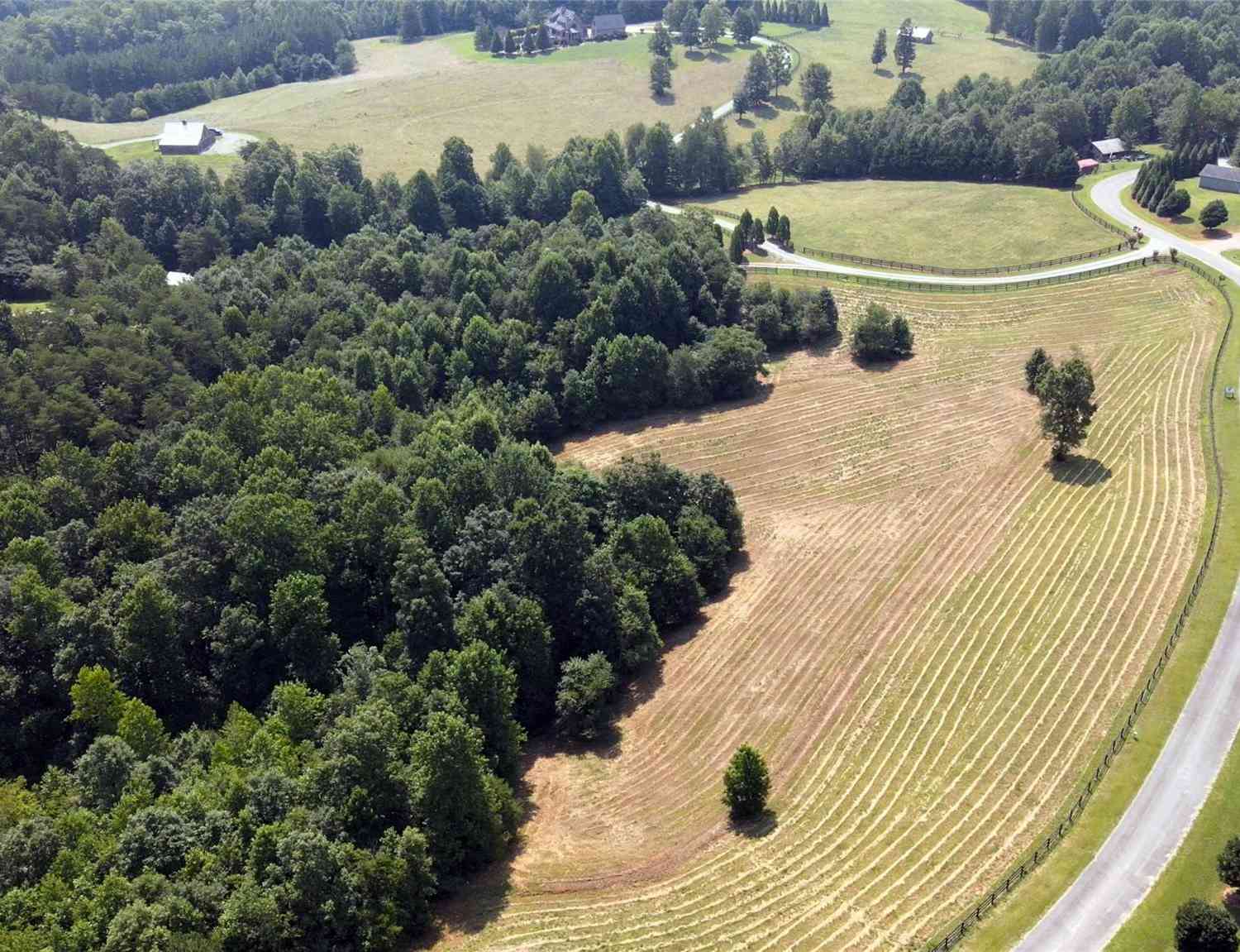 23.61 Acres Blackwood Road, Columbus, North Carolina image 5