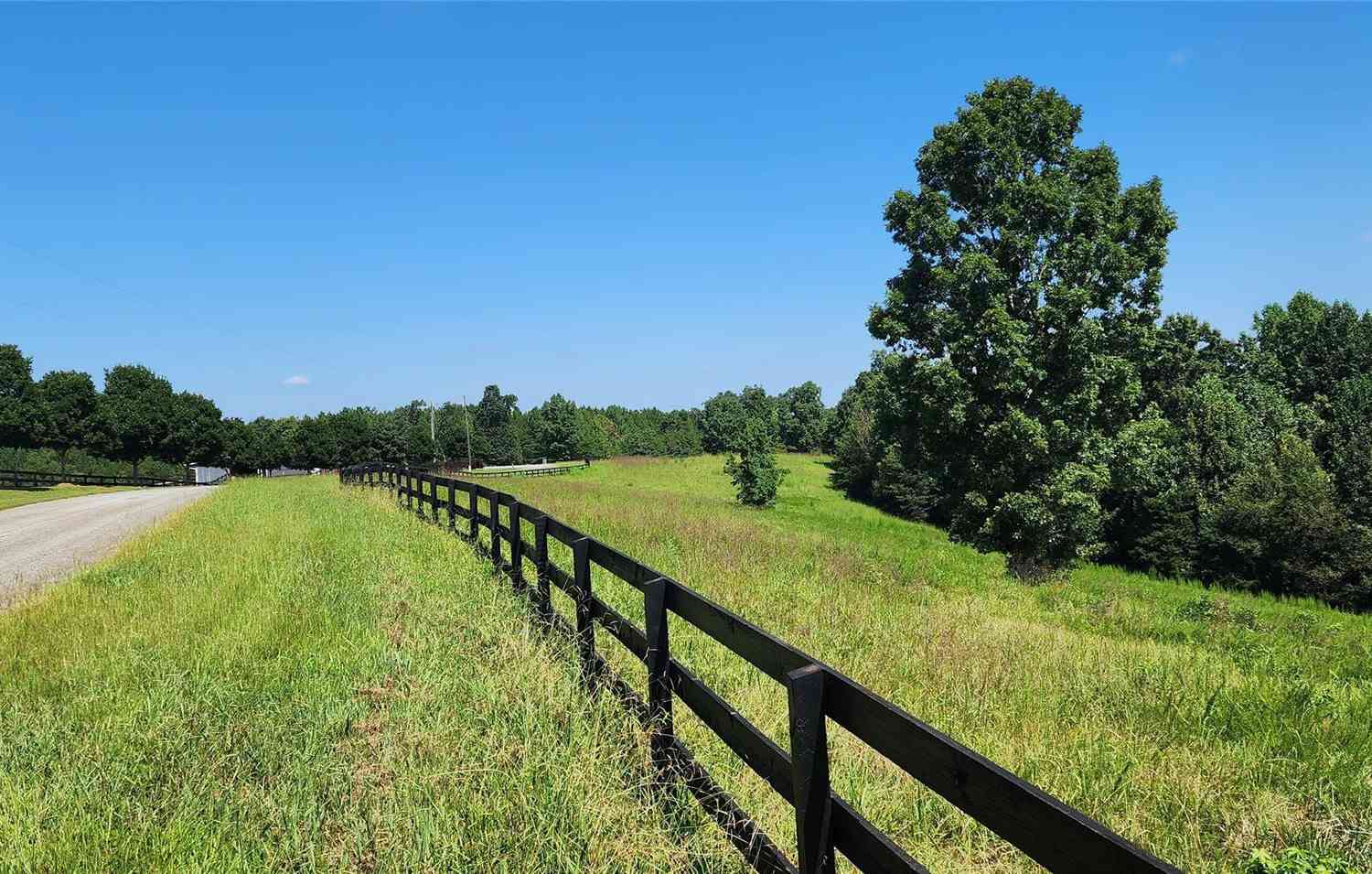 23.61 Acres Blackwood Road, Columbus, North Carolina image 18