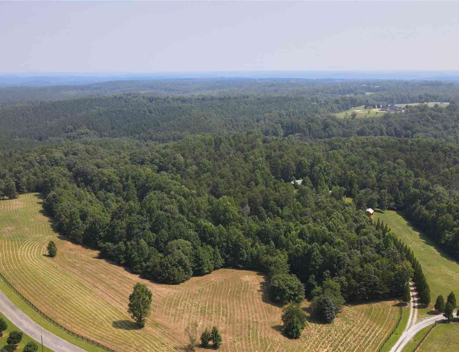 23.61 Acres Blackwood Road, Columbus, North Carolina image 10