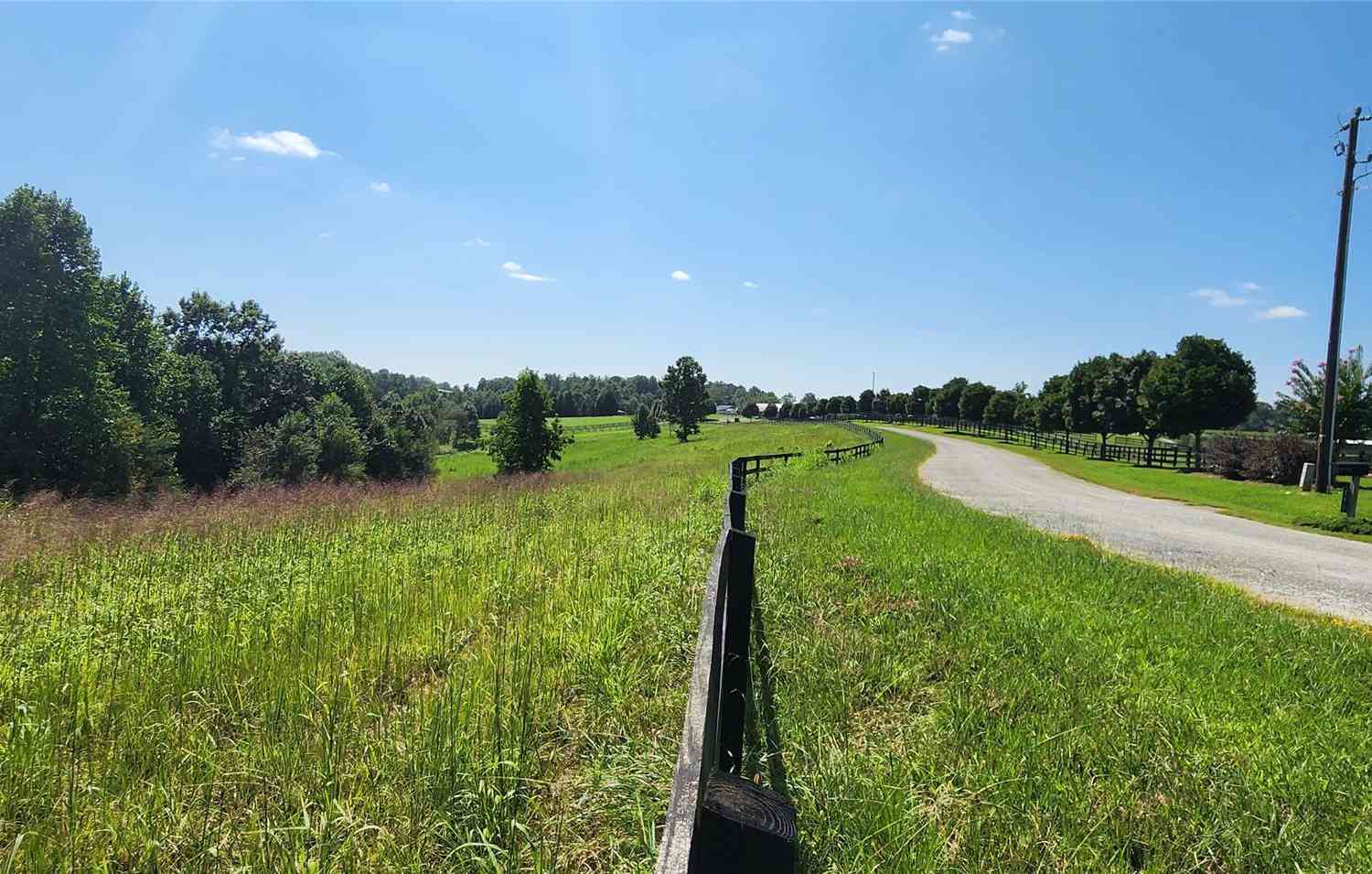 23.61 Acres Blackwood Road, Columbus, North Carolina image 25