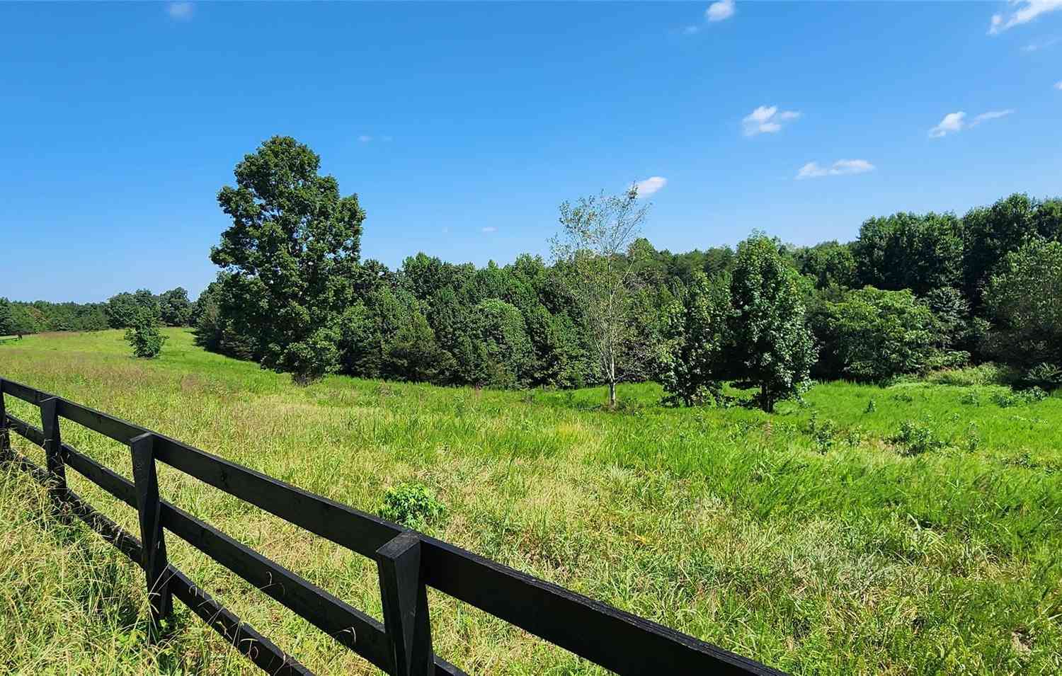 23.61 Acres Blackwood Road, Columbus, North Carolina image 14