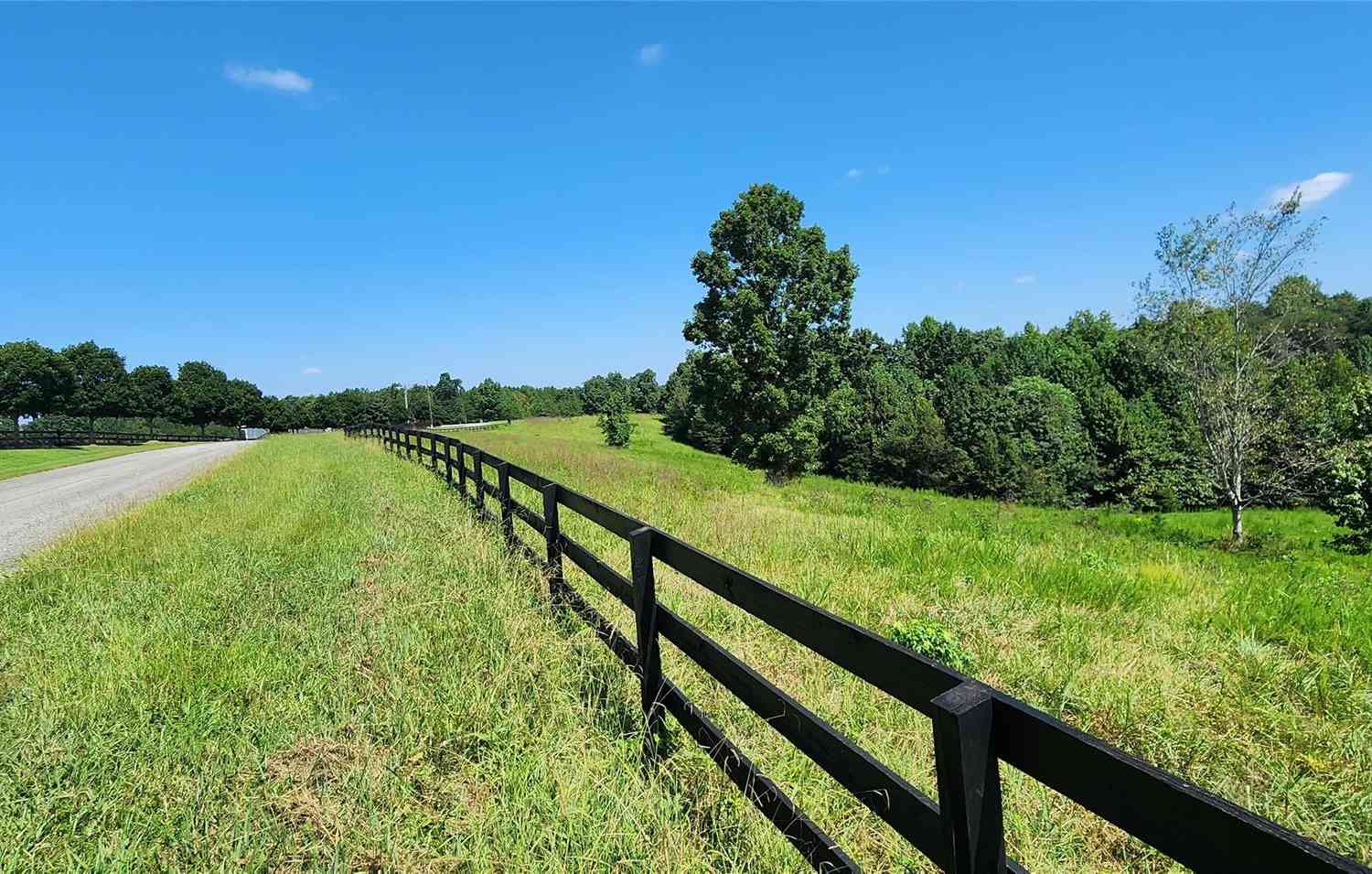 23.61 Acres Blackwood Road, Columbus, North Carolina image 13