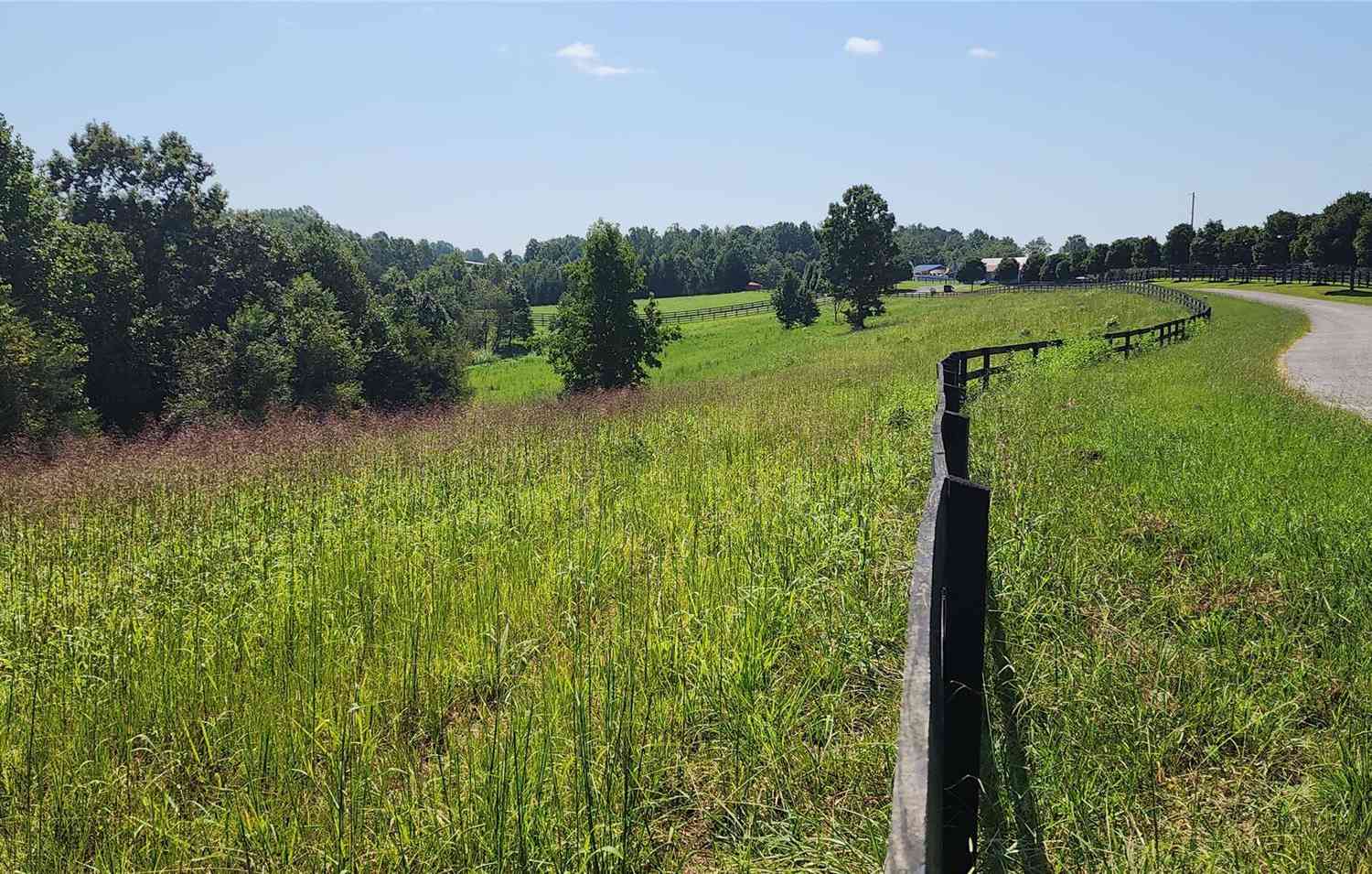 23.61 Acres Blackwood Road, Columbus, North Carolina image 21