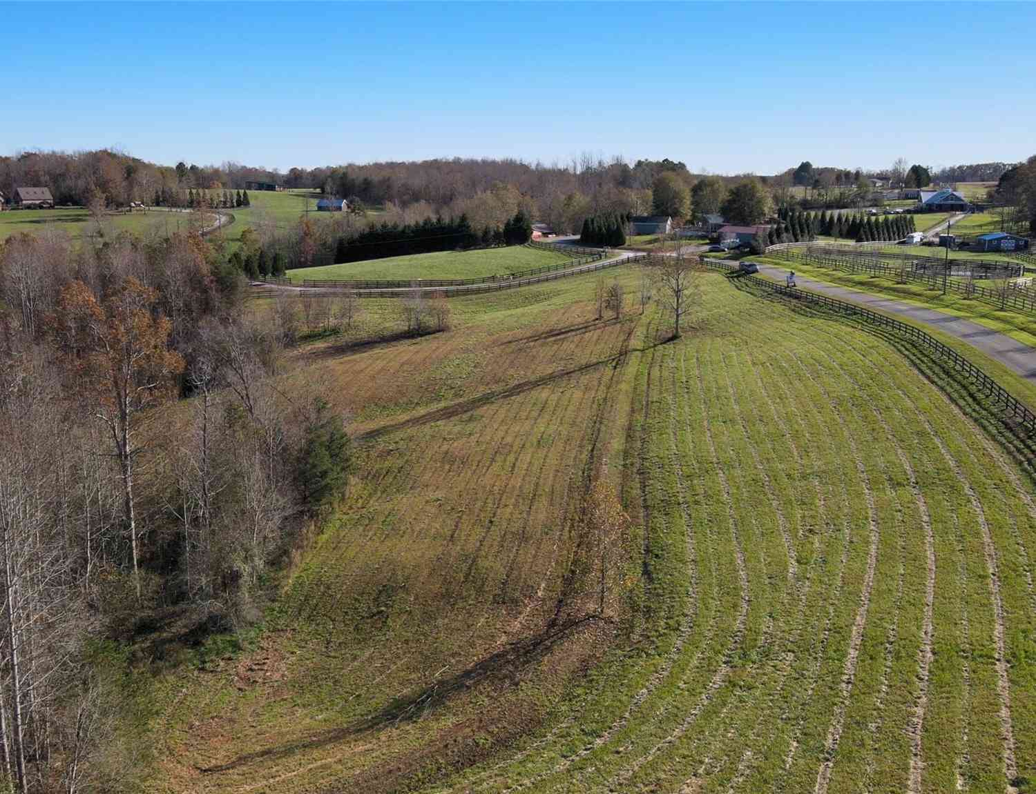 23.61 Acres Blackwood Road, Columbus, North Carolina image 9