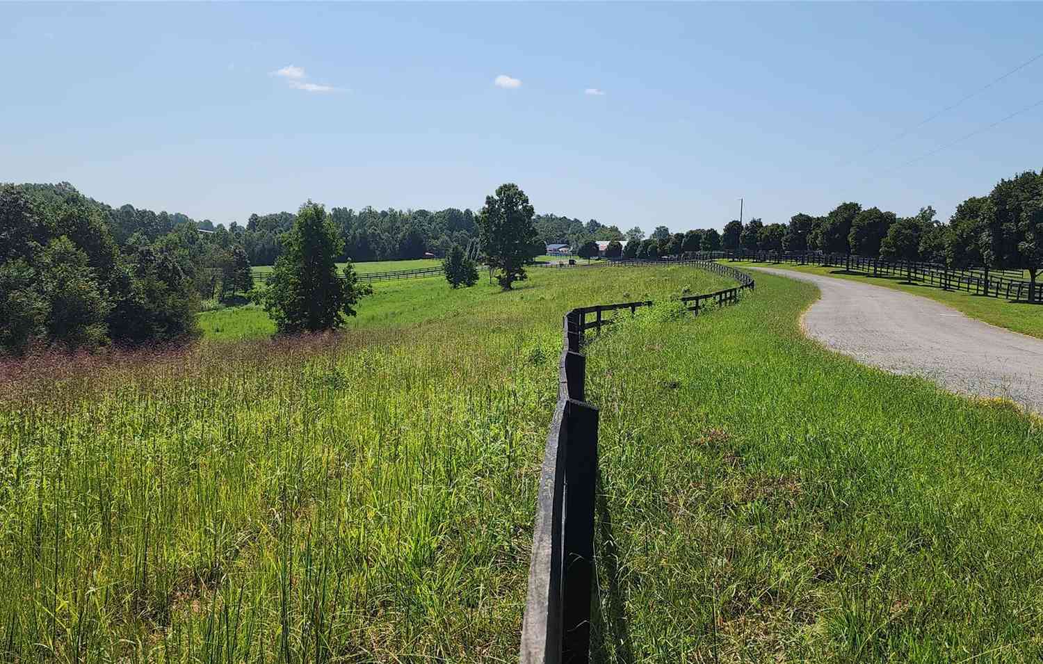 23.61 Acres Blackwood Road, Columbus, North Carolina image 22