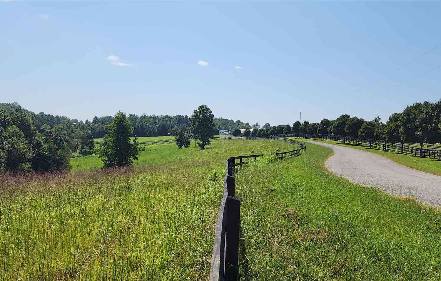 23.61 Acres Blackwood Road, Columbus, North Carolina image 23