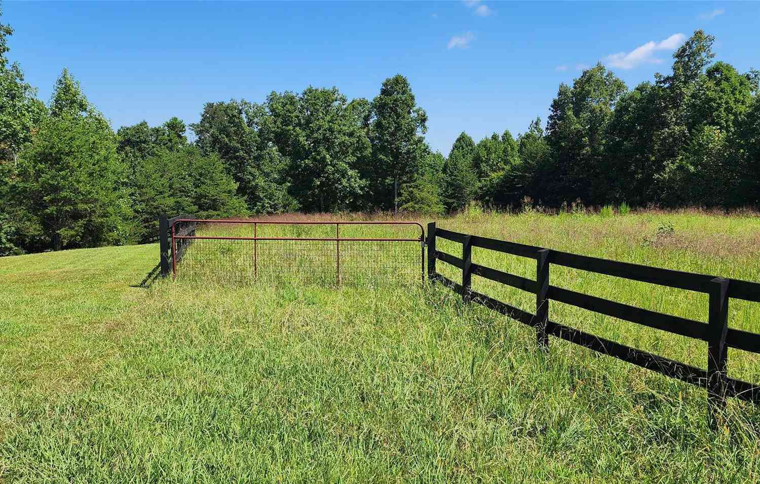 23.61 Acres Blackwood Road, Columbus, North Carolina image 20