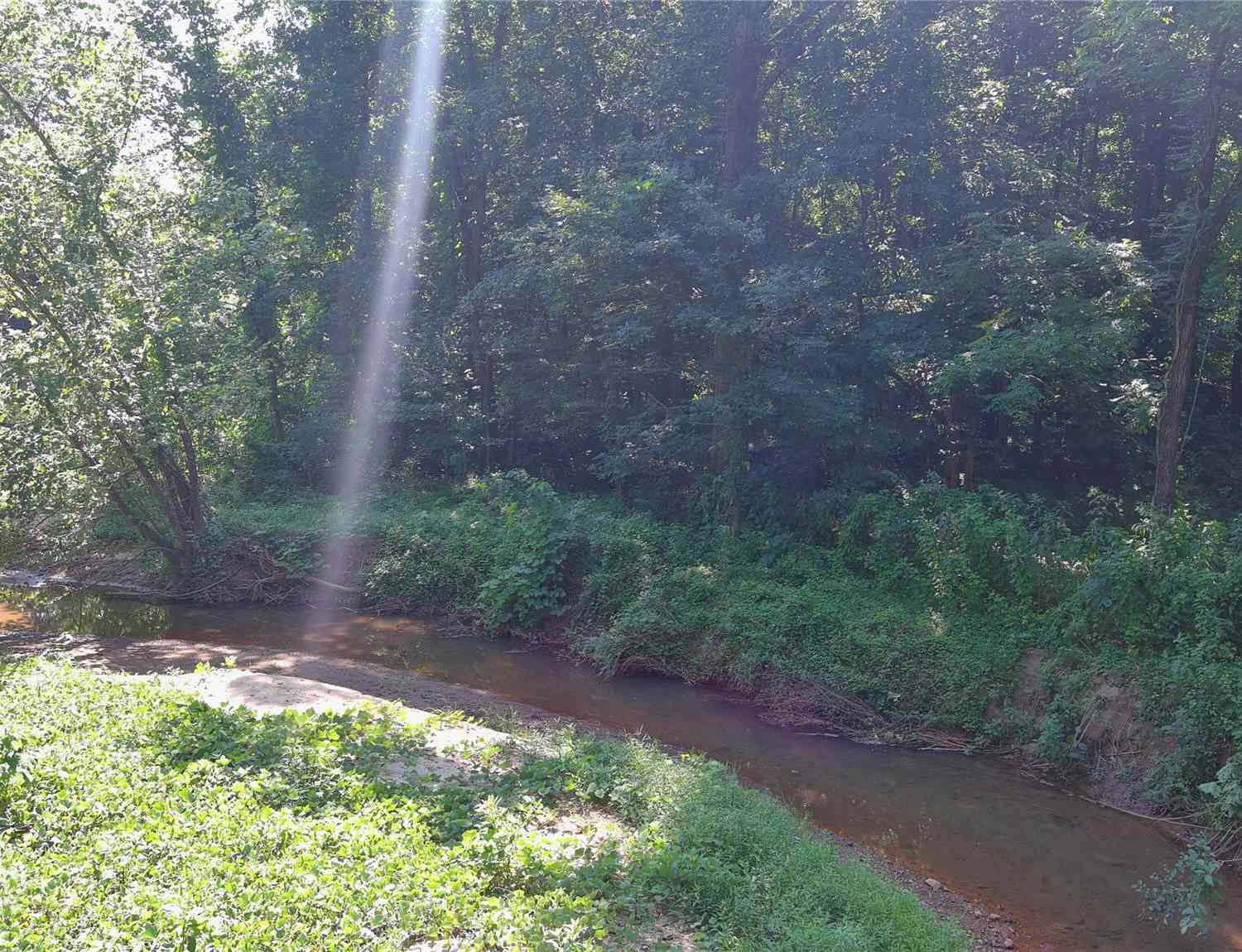 Fox Mountain Road #1, Columbus, North Carolina image 2