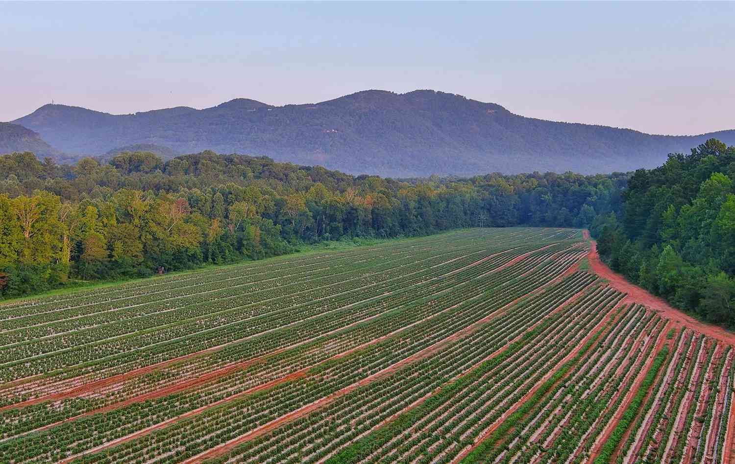 Fox Mountain Road #1, Columbus, North Carolina image 1