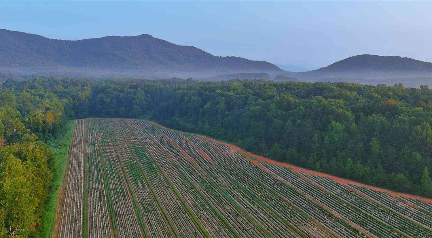 Fox Mountain Road #2, Columbus, North Carolina image 1