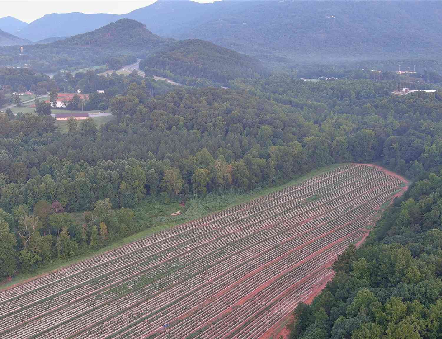 Fox Mountain Road #3, Columbus, North Carolina image 1